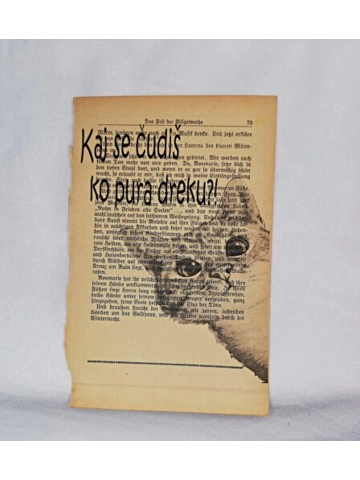 Print Purgerska maca  Print Purgerska maca