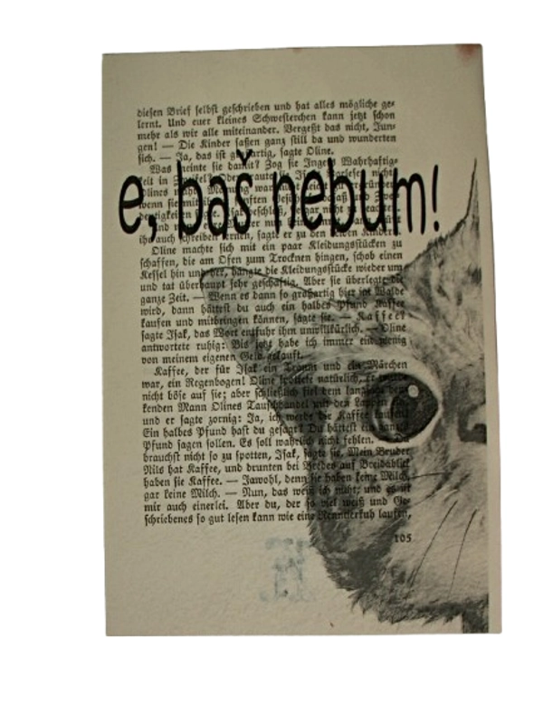 Print Purgerska maca: "e baš ne bum!"