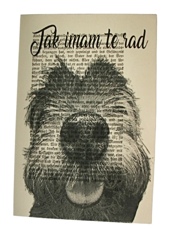 Print Purgerski pasonja 