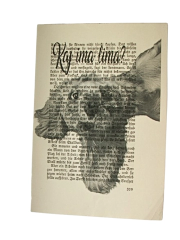 Print Purgerski pasonja 