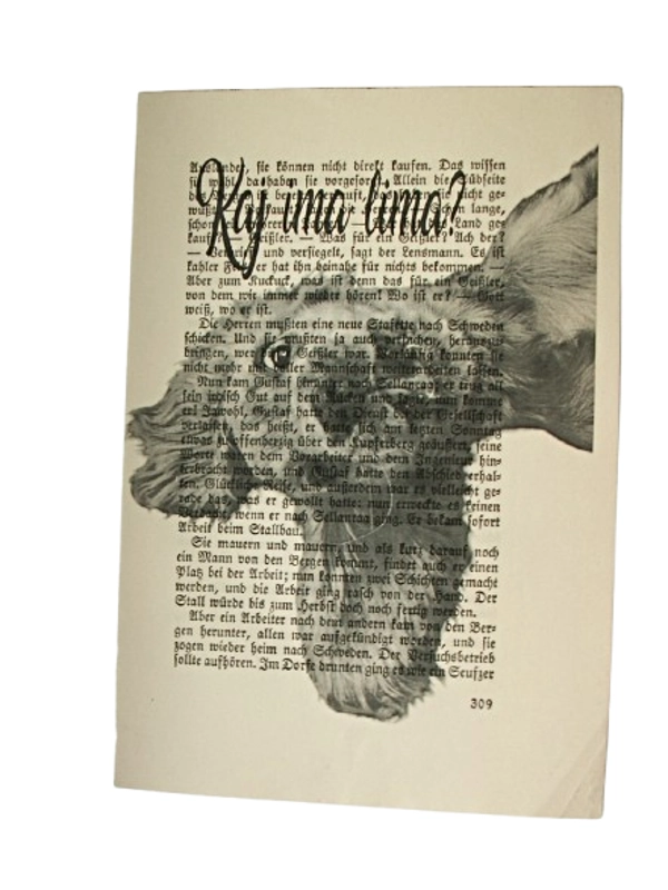 Print Purgerski pasonja "Kaj ima lima?"