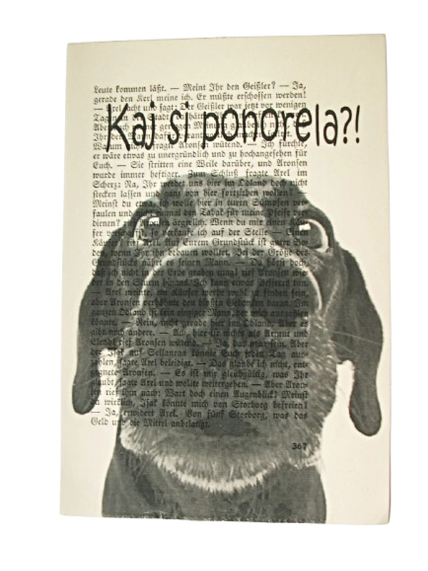 Print Purgerski pasonja "Kaj si ponorela?!"