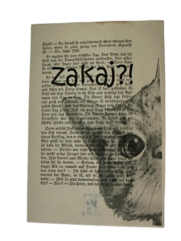 Print Purgerska maca: 