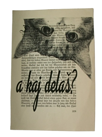 Print Pugerska maca :