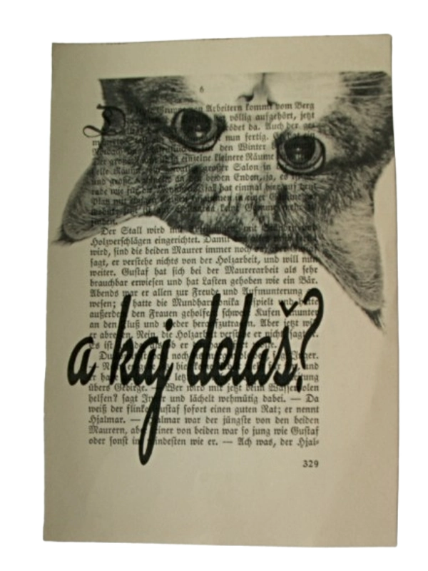 Print Pugerska maca :"a kaj delaš?"