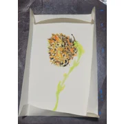 Lucky Flower Art