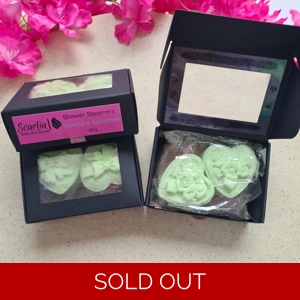 Menthol & Spearmint Shower Steamers 80g