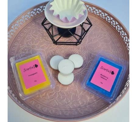 Wax Warmer and Wax Melts Bundle