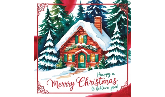 Category Image for Christmas