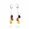 Baltic Amber Earrings –..