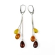 Baltic Amber and Silver 925 Earrings – Timeless ..