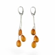 Baltic Amber Earrings