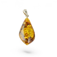 Nature's Beauty Amber Pendant, Id..