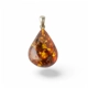 Charming Silver and Amber Pendant – A Distinctiv.. Charming Silver and Amber Pendant – A Distinctiv..