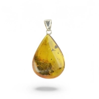 Silver Baltic Amber Pendant – Cel..
