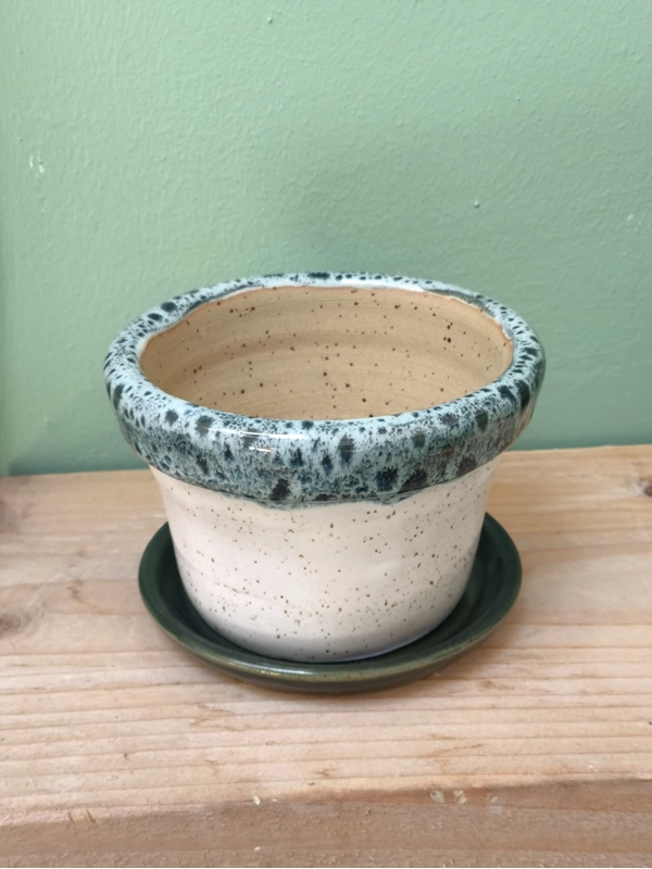 Snakeskin Plant Pot and Saucer